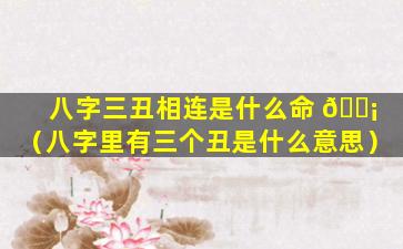 八字三丑相连是什么命 🐡 （八字里有三个丑是什么意思）